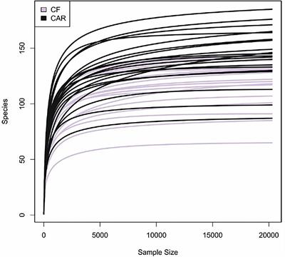 Bacterial Composition and Metabolomics of Dental Plaque From Adolescents